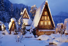 天涯论坛里的脱发战场，真实经历让你感同身受！